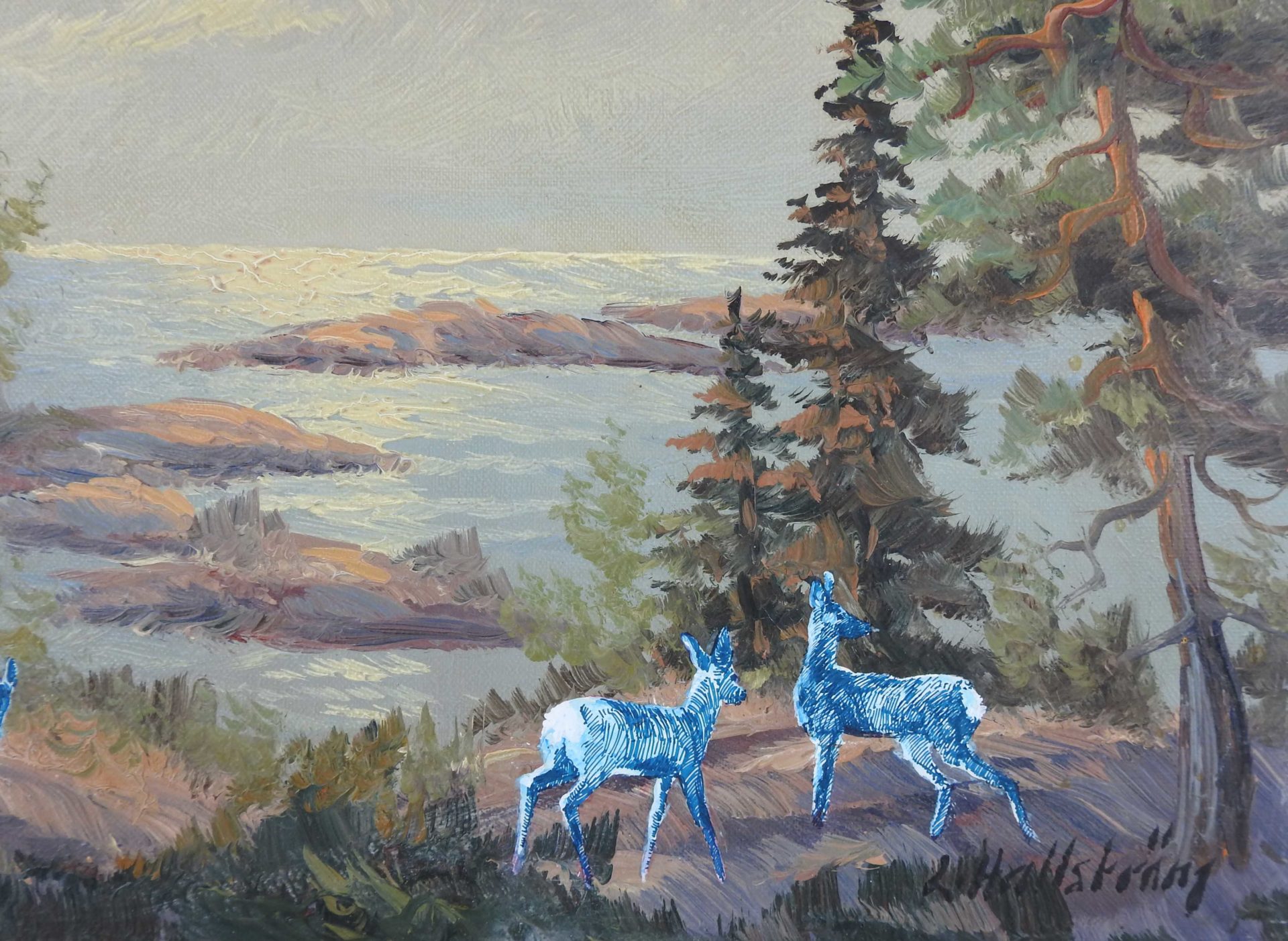 Blue Roe Deers