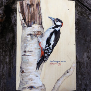 Wooden Box "Woodpecker"