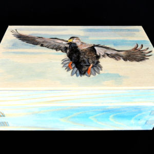 Wooden Box Duck in Flight