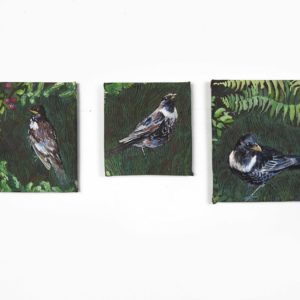 Triptych Ring Ouzels