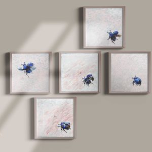 Pentaptych Spring Beetle