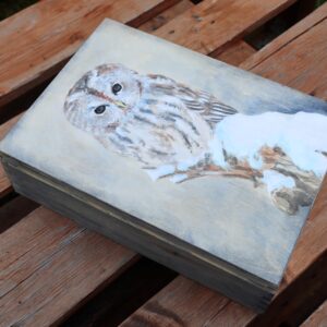 Wooden Box Tawny Owl